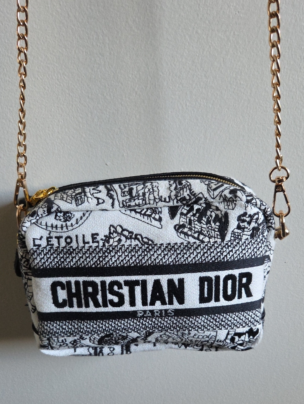 Authentic Dior Canvas Crossbody with Gold Chain
